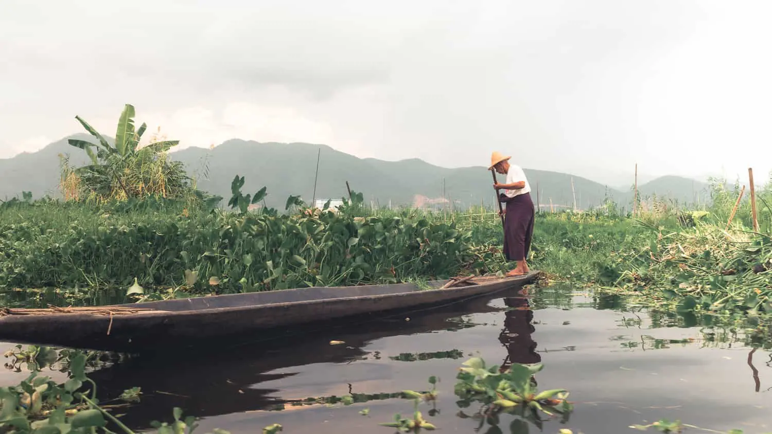 Myanmar. Bamboo Hat worn by a woman farmer, floating farm garden on Inle  Lake.