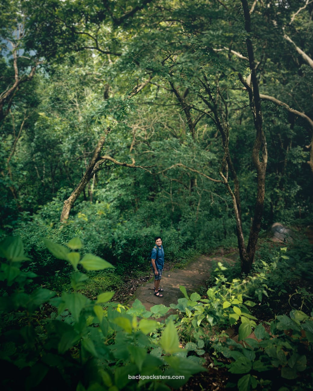 Sirsi Yellapur Karnataka Waterfalls trekking forest