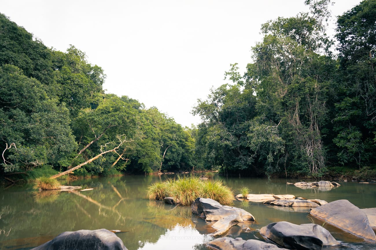 Growth through Volunteering in the Western Ghats